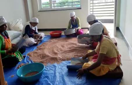 Grading Work Of Red Rice