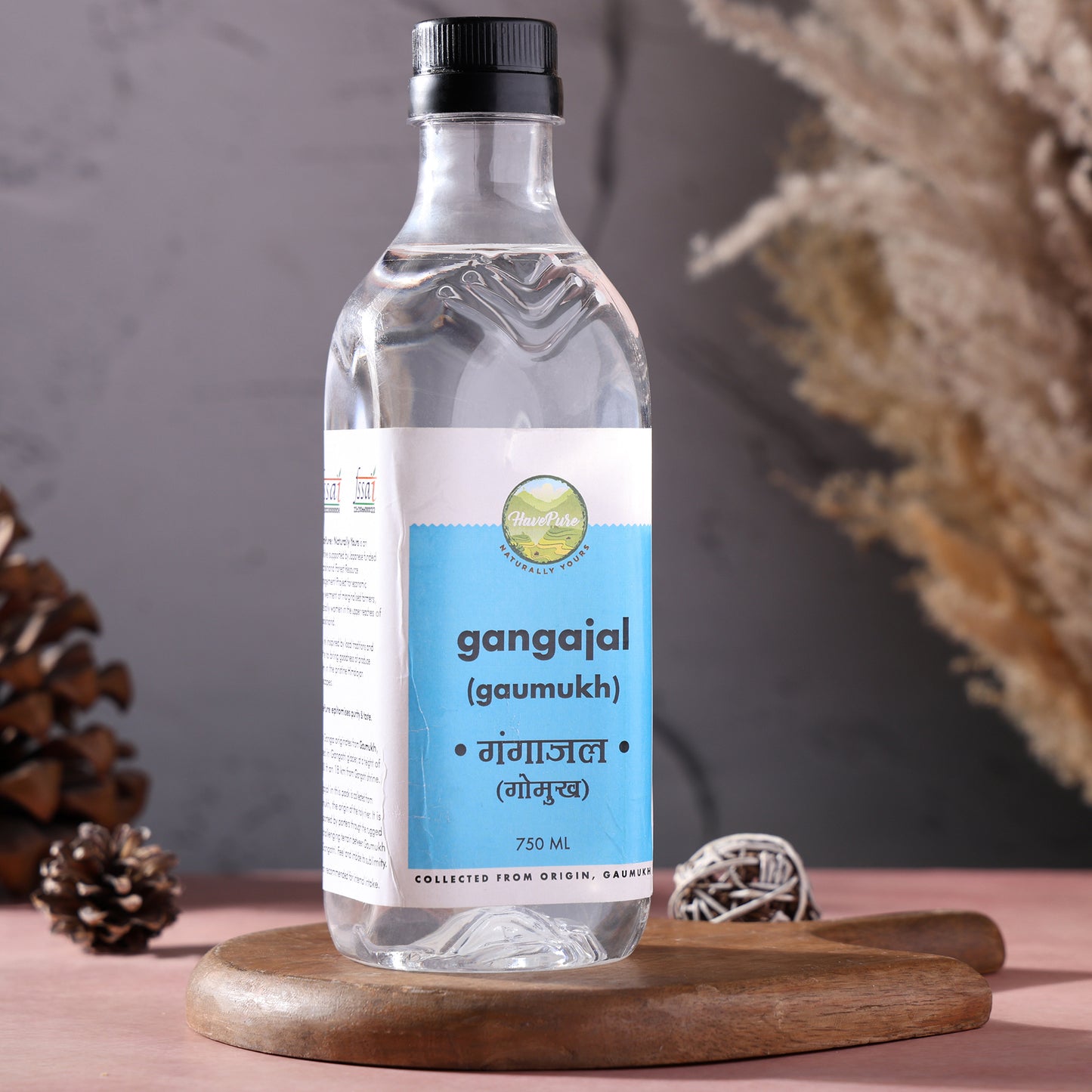 Gangajal from Gaumukh β Pure Holy Water for Puja (750 ML)