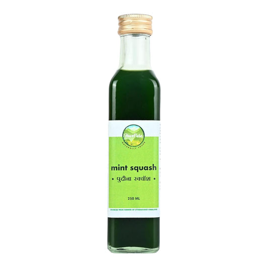 HavePure Mint Squash | Refreshing Herbal Drink Concentrate