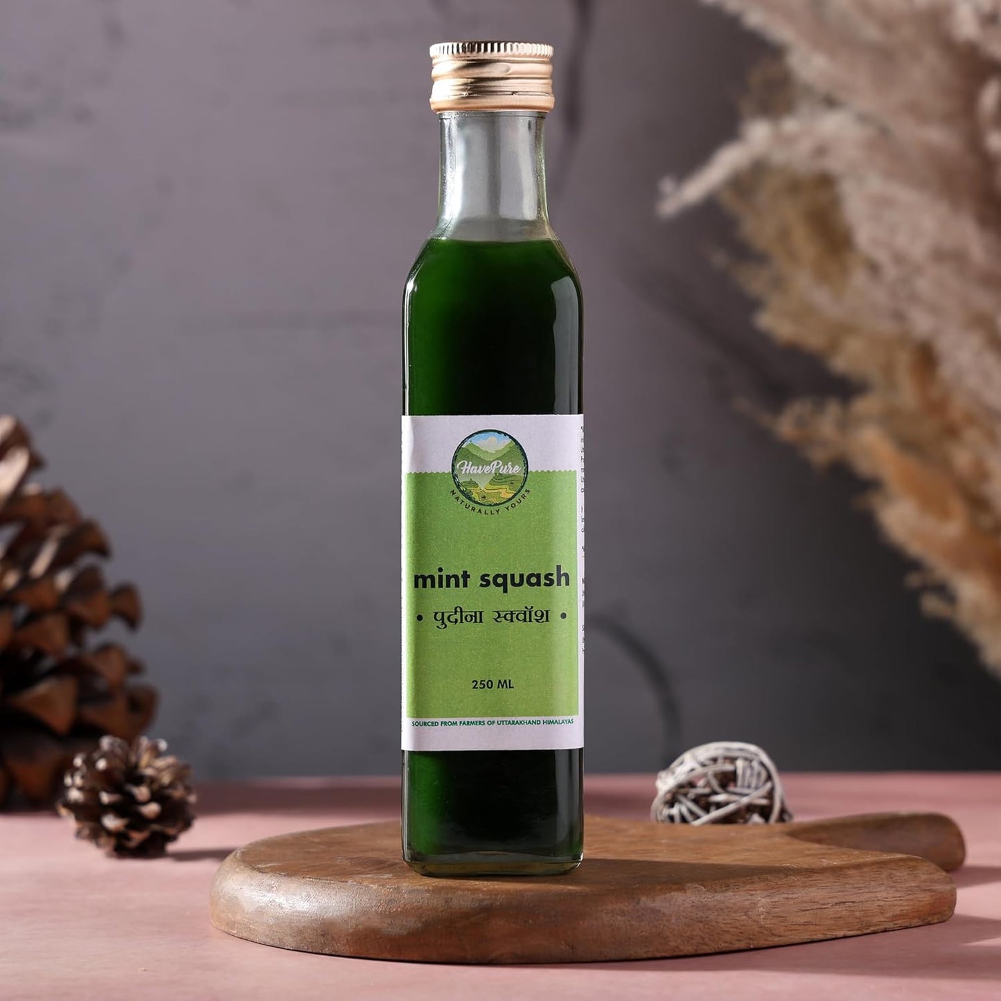 HavePure Mint Squash | Refreshing Herbal Drink Concentrate