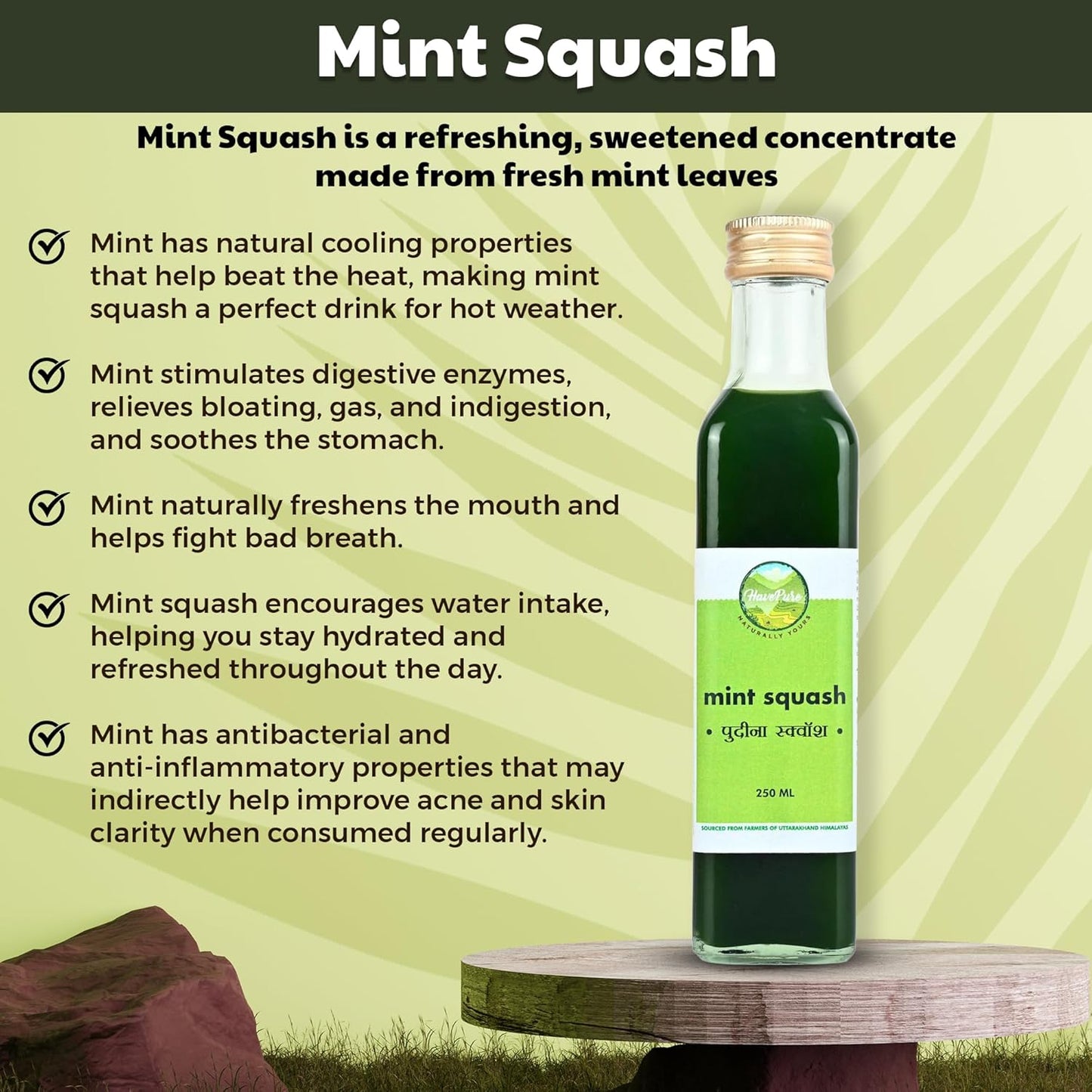 HavePure Mint Squash | Refreshing Herbal Drink Concentrate