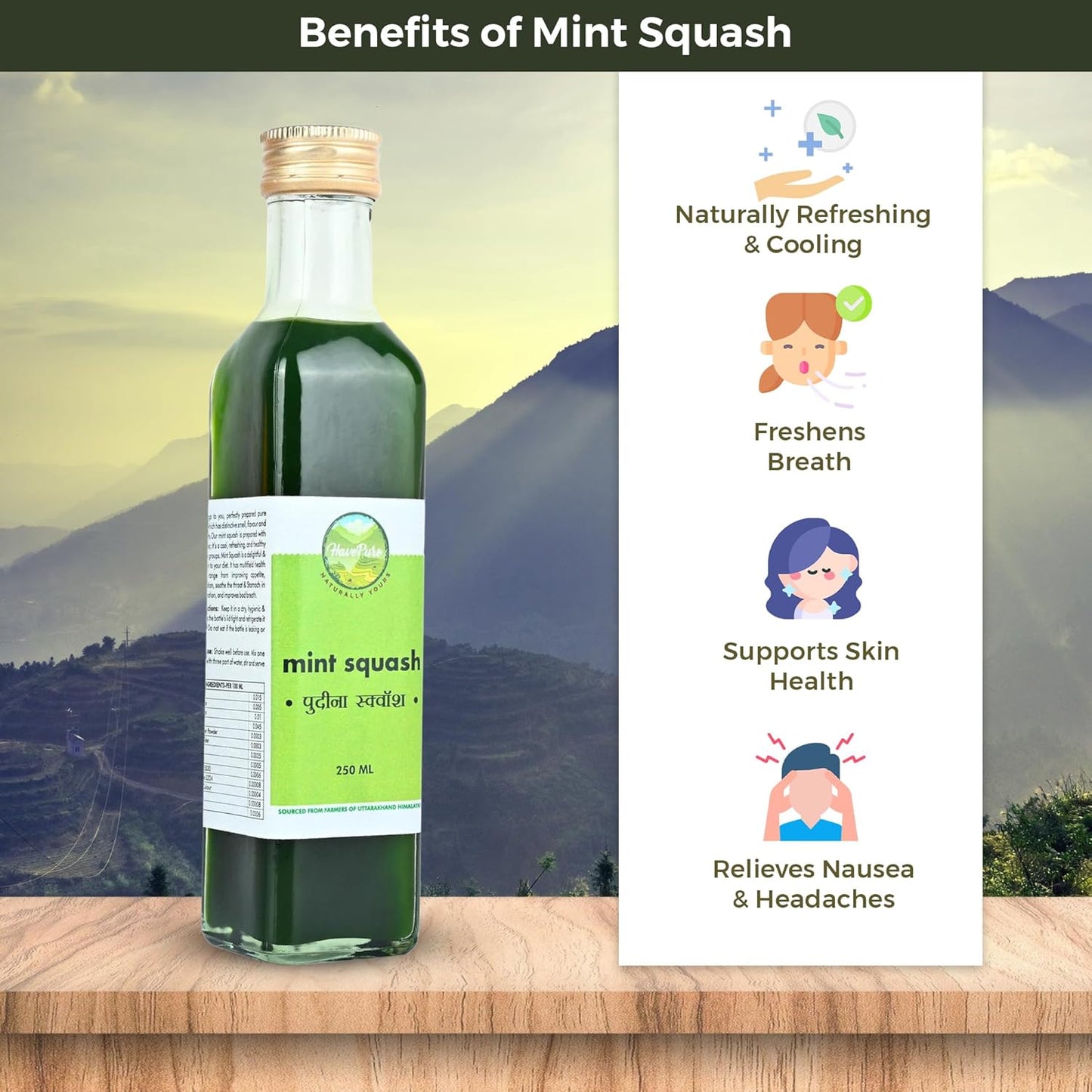 HavePure Mint Squash | Refreshing Herbal Drink Concentrate