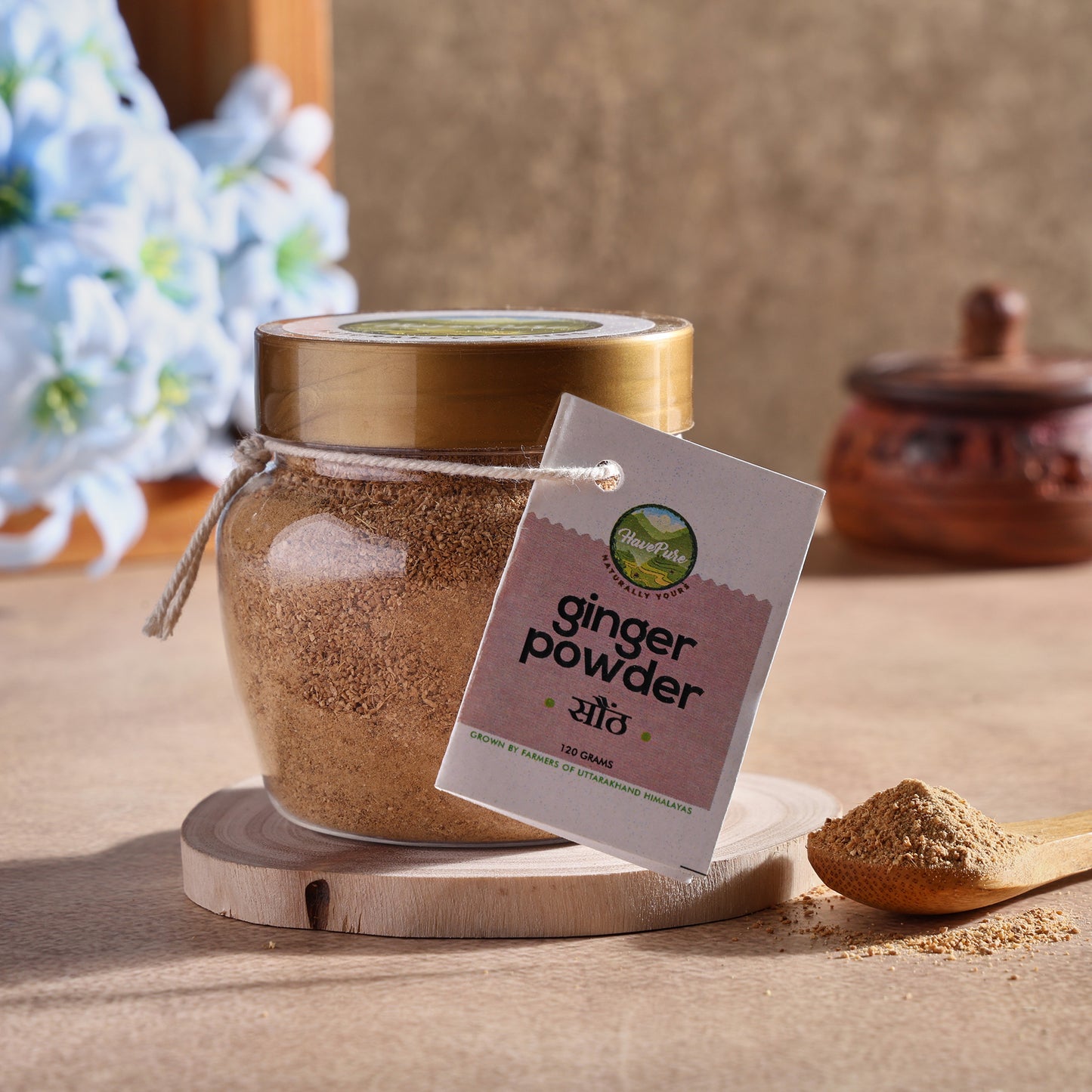 HavePure Ginger Powder (Sonth) – 120g | Sun-Dried, Pure & Aromatic | Immunity & Digestion Booster