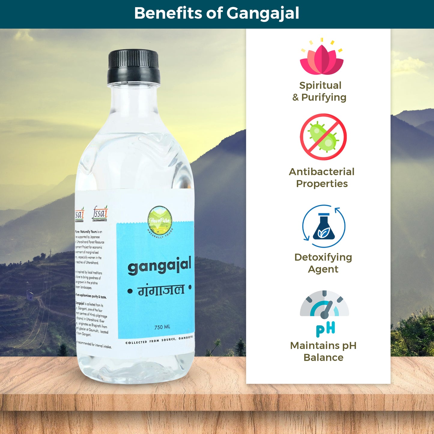 Gangajal (Gangotri) β Pure Holy Water for Puja β 750 ML