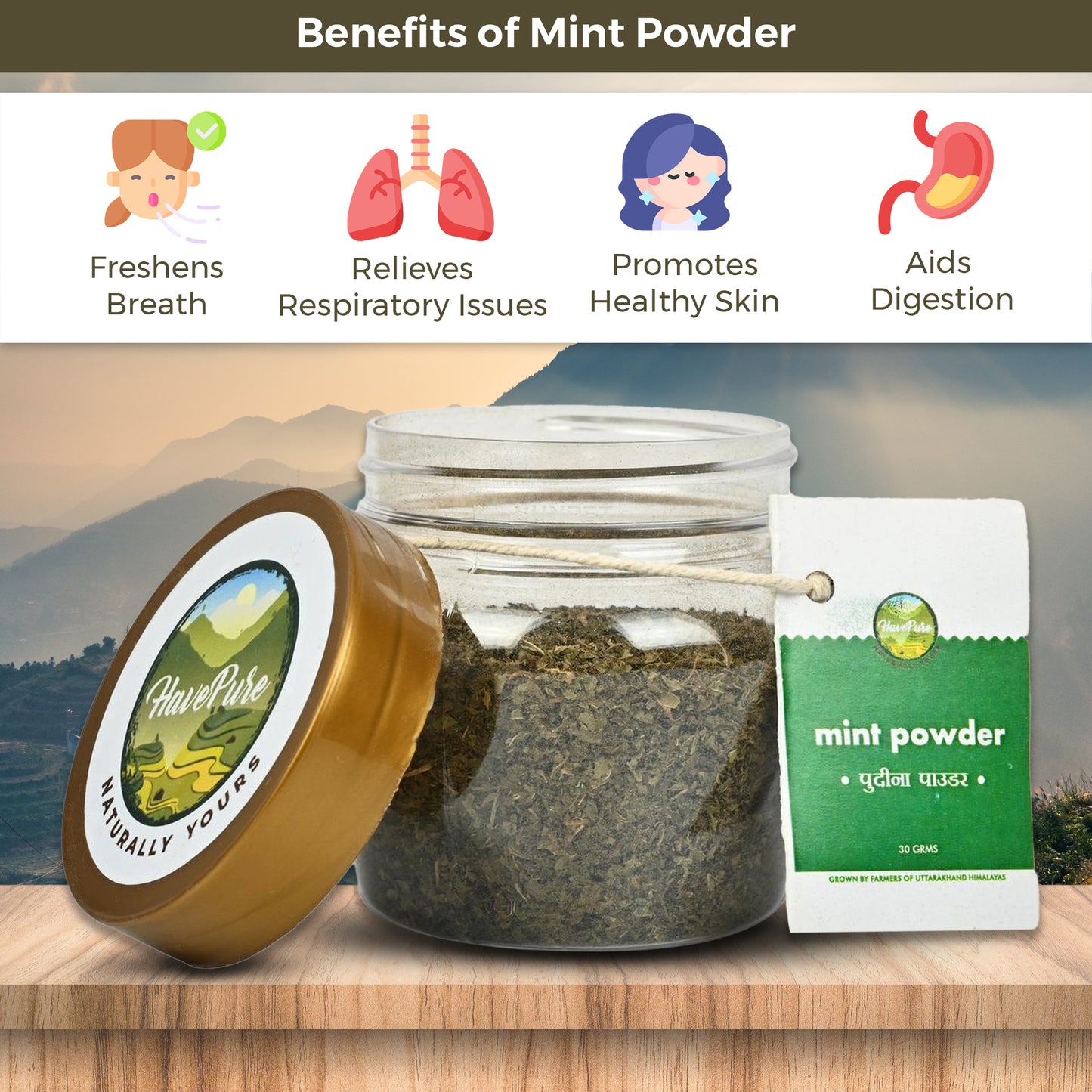 Natural Mint Powder β 100% Pure & Sun-Dried | 30g | From Uttarakhand Hills
