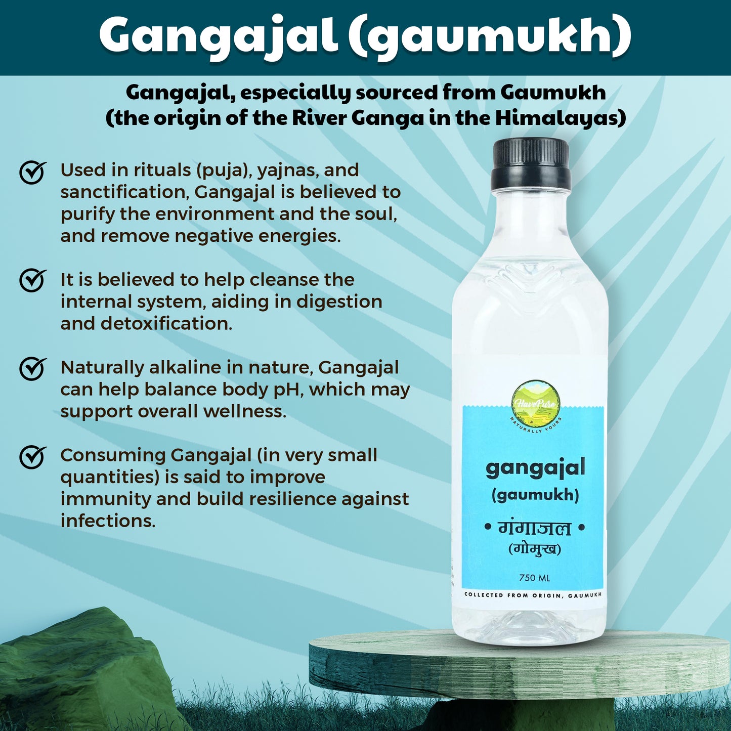 Gangajal from Gaumukh β Pure Holy Water for Puja (750 ML)