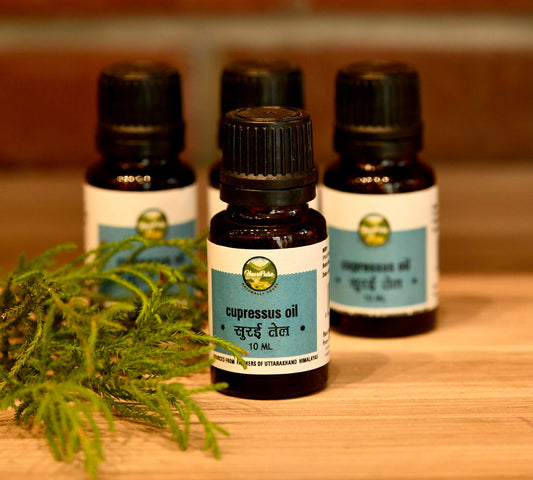 HavePure Cupressus Oil – 10ml | Pure Cypress Essential Oil from Uttarakhand