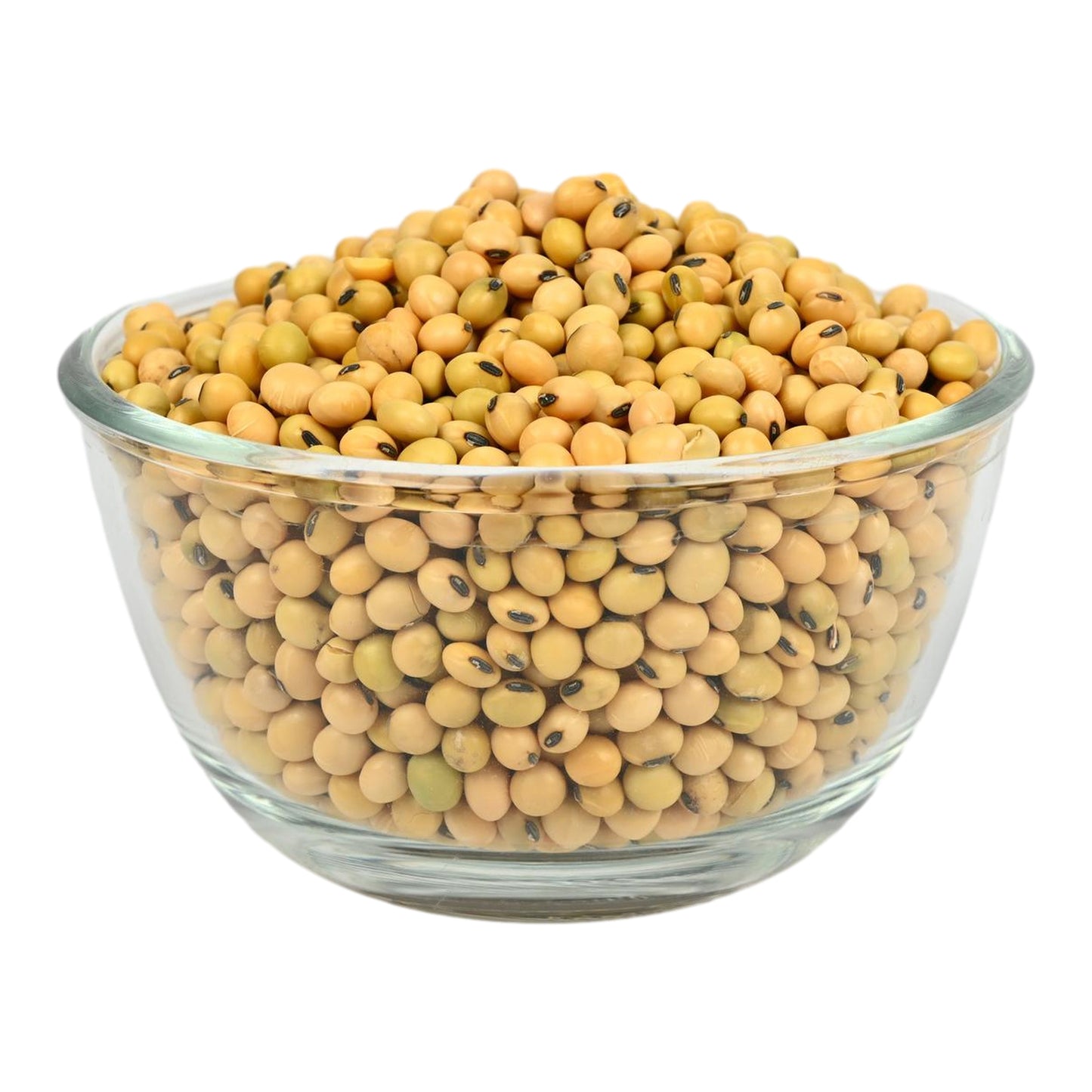 Himalayan Soyabean (750g) β Naturally Grown in Bhagirathi Valley, Rich in Lecithin & Omega-3