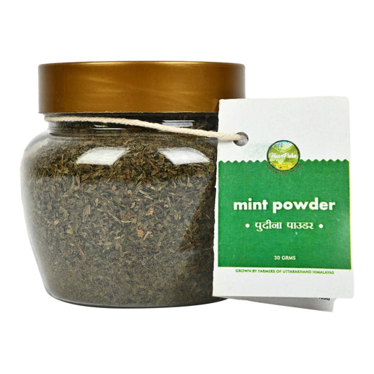 Natural Mint Powder – 100% Pure & Sun-Dried | 30g | From Uttarakhand Hills