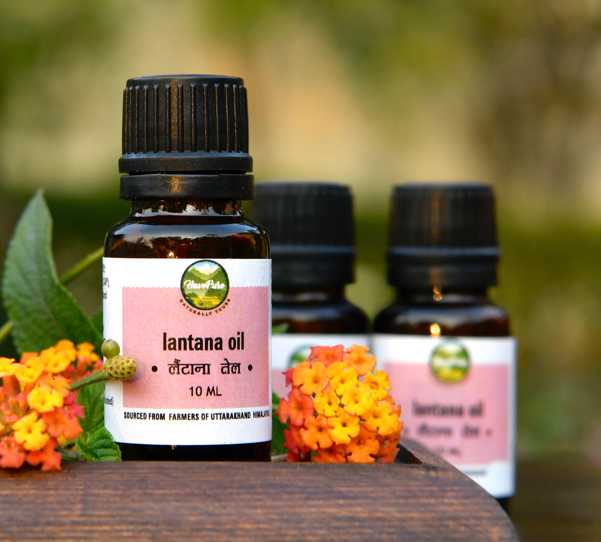 HavePure Lantana Oil β 10ml | Natural Essential Oil from Uttarakhand Hills