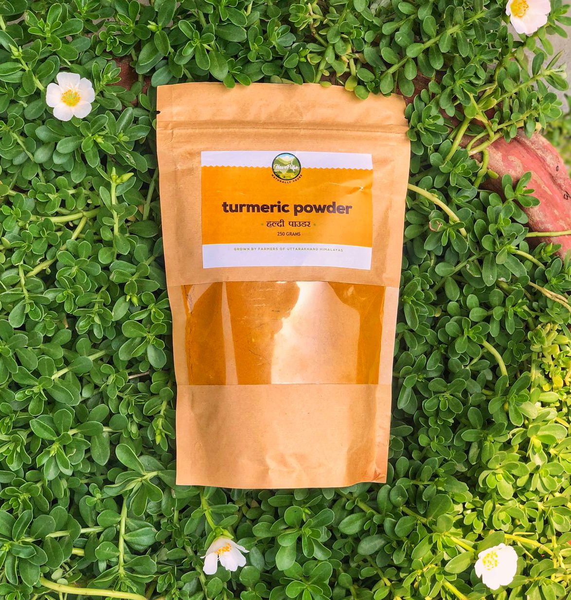 High Curcumin Turmeric Powder β 100% Natural & Stone-Ground | 100g