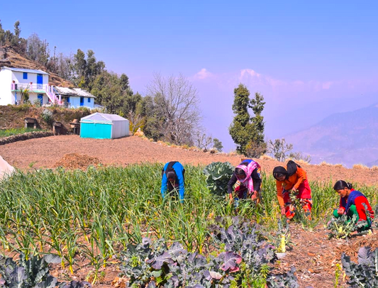 Women Farmers Of Uttarakhand Welcome You