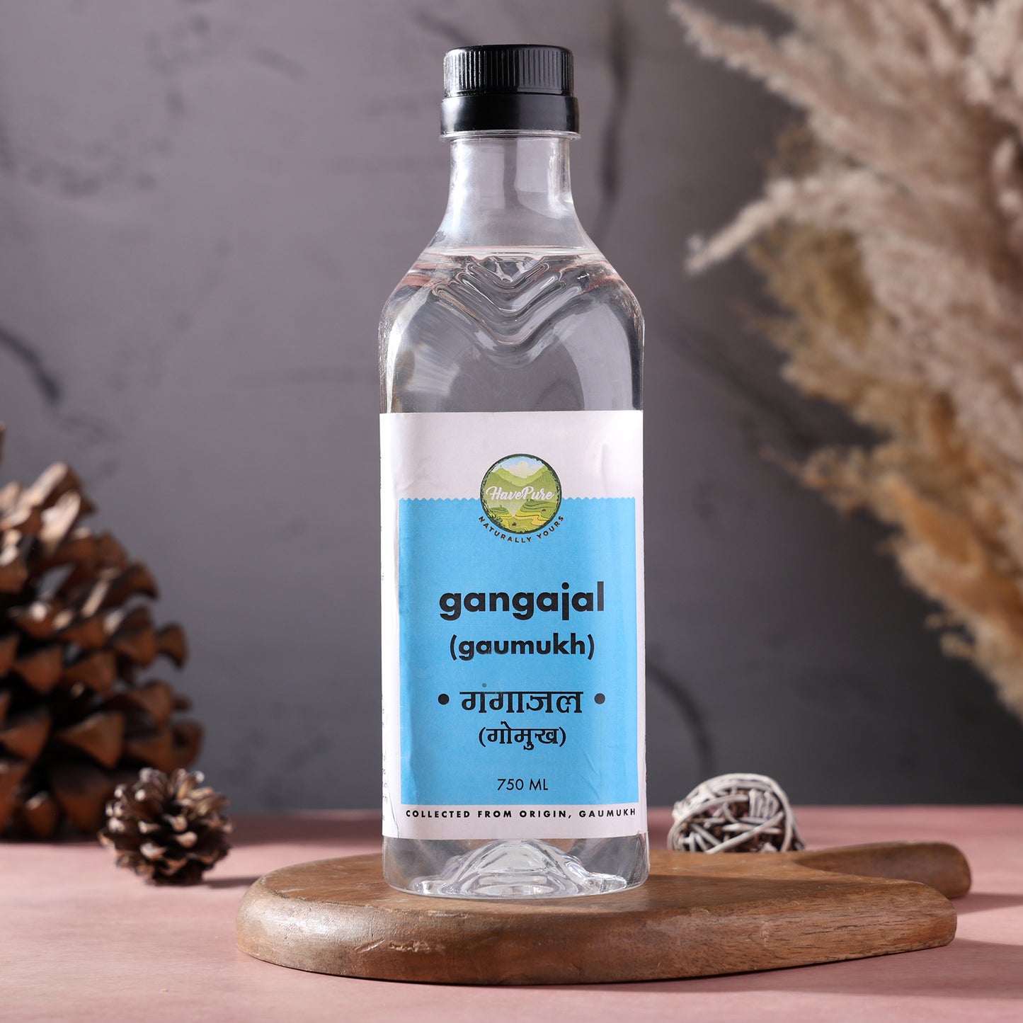 Gangajal from Gaumukh – Pure Holy Water for Puja (750 ML)