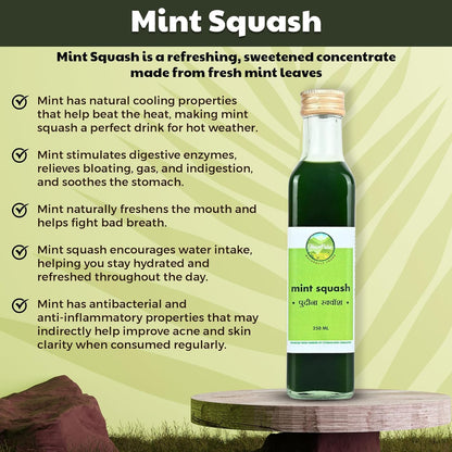 HavePure Mint Squash | Refreshing Herbal Drink Concentrate