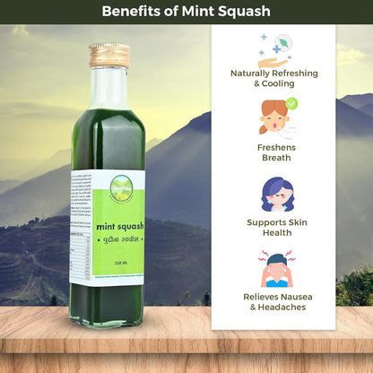 HavePure Mint Squash | Refreshing Herbal Drink Concentrate