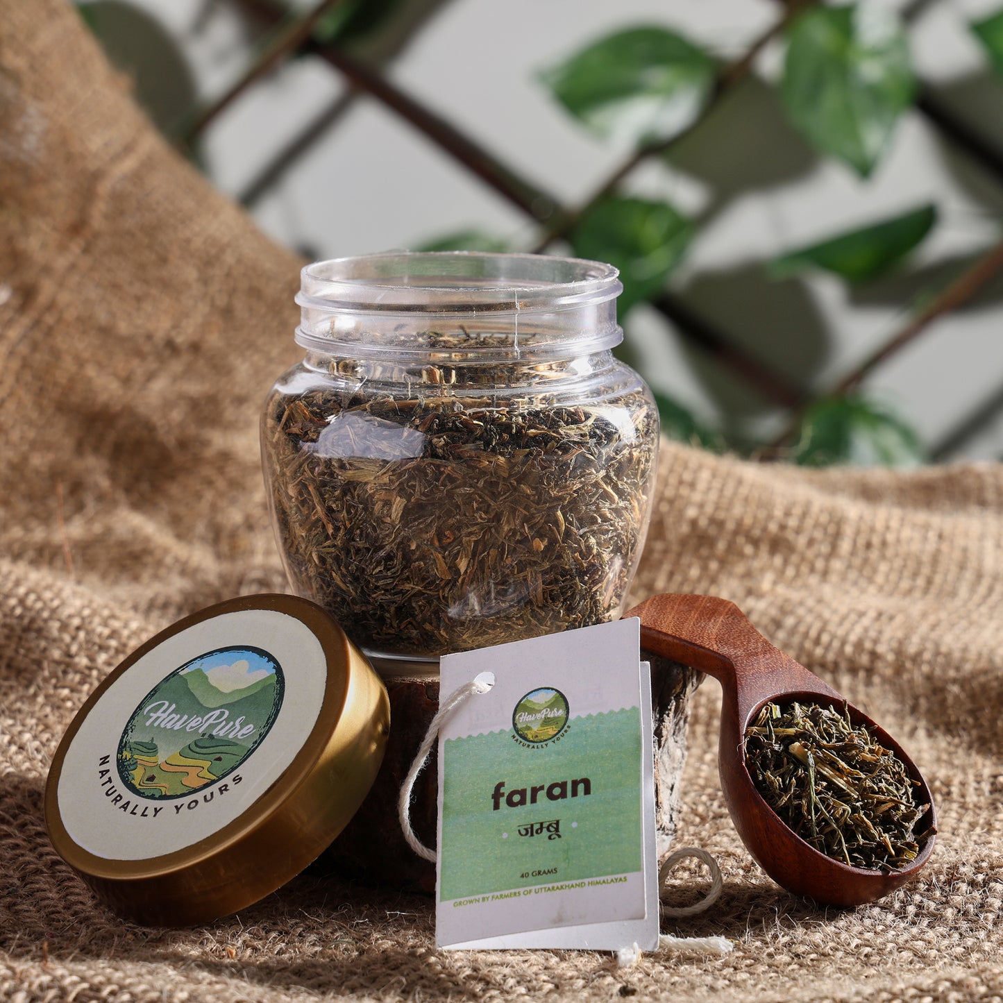 Faran (Jamboo) – Himalayan Aromatic Herb for Tempering | 40g