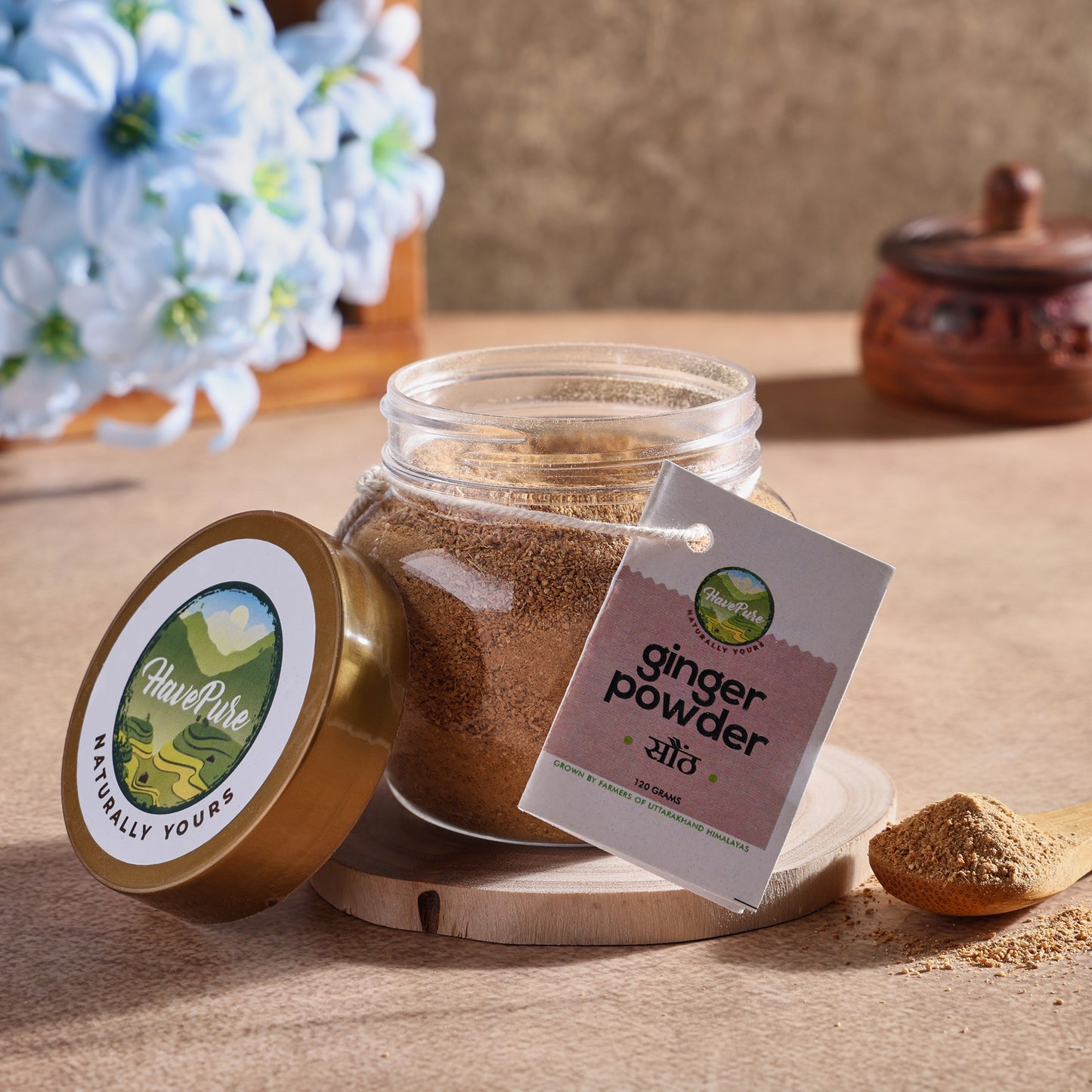 HavePure Ginger Powder (Sonth) – 120g | Sun-Dried, Pure & Aromatic | Immunity & Digestion Booster