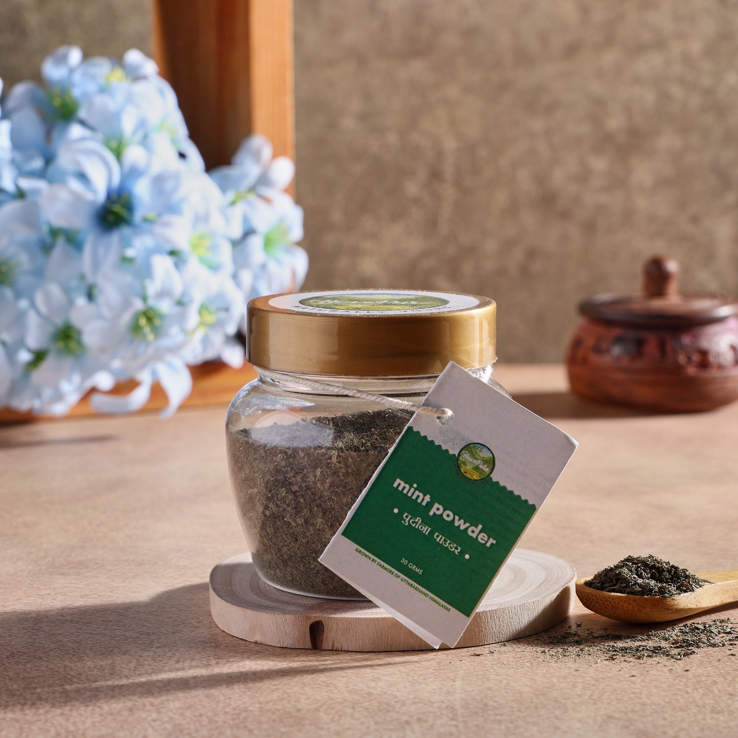 Natural Mint Powder – 100% Pure & Sun-Dried | 30g | From Uttarakhand Hills