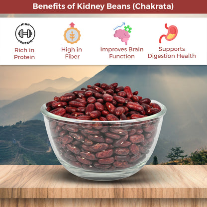 Chakrata Kidney Beans (Rajma) – 500g | Naturally Grown in Uttarakhand Himalayas