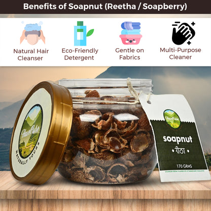 HavePure Soapnut (Reetha) – 170g | Natural Cleanser for Hair, Skin & Laundry