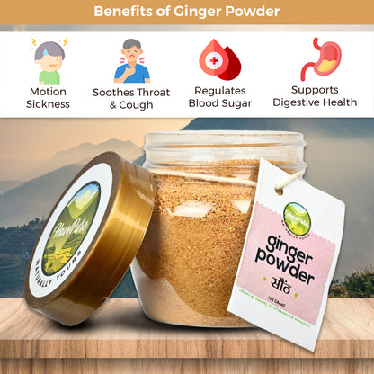 HavePure Ginger Powder (Sonth) – 120g | Sun-Dried, Pure & Aromatic | Immunity & Digestion Booster