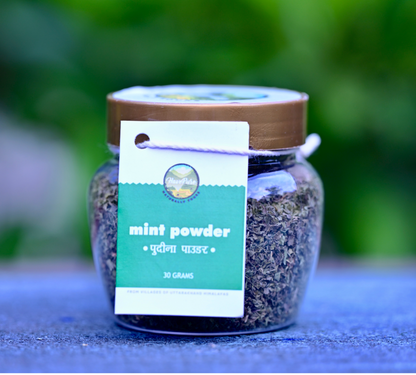 Natural Mint Powder – 100% Pure & Sun-Dried | 30g | From Uttarakhand Hills